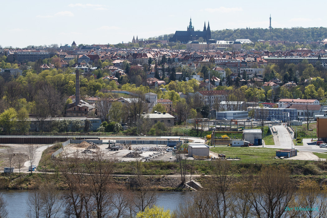 Letzter Blick vom Zoo zum Hradschin